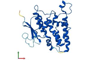 AlphaFold protein structure predicition of Human Recombinant CLIC3 Protein, UniprotID O95833