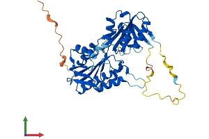 AlphaFold protein structure predicition of Mouse Recombinant Prpsap2 Protein, UniprotID Q8R574