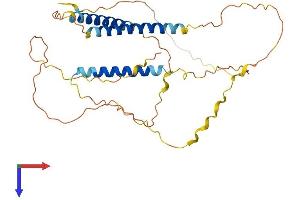 AlphaFold protein structure predicition of Human Recombinant C21orf58 Protein, UniprotID P58505