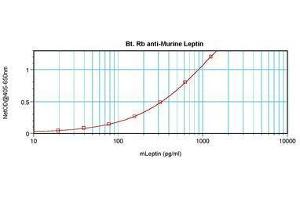 Image no. 2 for anti-Leptin (LEP) antibody (Biotin) (ABIN465756) (Leptin anticorps  (Biotin))