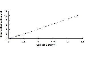 Typical standard curve (MARCKS Kit ELISA)