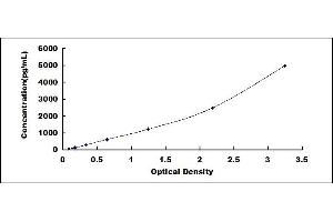 Typical standard curve (KRT17 Kit ELISA)