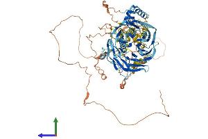 AlphaFold protein structure predicition of Mouse Recombinant Taf1c Protein, UniprotID Q6PDZ2