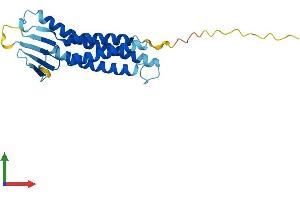 AlphaFold protein structure predicition of Mouse Recombinant Cldn4 Protein, UniprotID O35054