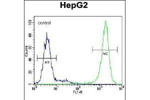 Flow cytometric analysis of HepG2 cells (right histogram) compared to a negative control cell (left histogram). (TIGD3 anticorps  (C-Term))