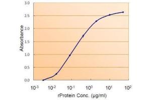 AP26003PU-N SMAD9 antibody (1. (SMAD9 anticorps  (Internal Region))