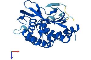 AlphaFold protein structure predicition of Human Recombinant PNPLA4 Protein, UniprotID P41247