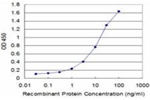 Detection limit for recombinant GST tagged USP9X is approximately 0. (USP9X anticorps  (AA 1-90))