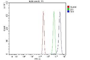 anti-Ras and Rab Interactor 1 (RIN1) (AA 76-669) antibody