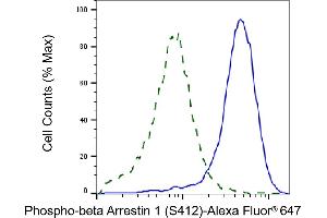 Validation of beta Arrestin 1 knockdown using flow cytometry.