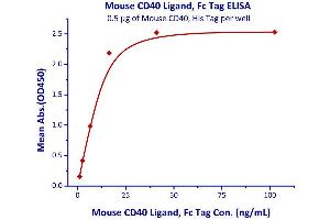 Immobilized Mouse CD40, His Tag  with a linear range of 1-16 ng/mL.