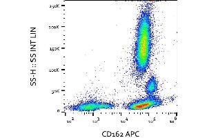 Surface staining of human peripheral blood cells with anti-human CD162 (clone TC2) APC. (SELPLG anticorps  (APC))