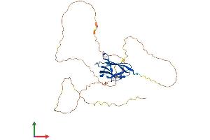AlphaFold protein structure predicition of Mouse Recombinant Stbd1 Protein, UniprotID Q8C7E7