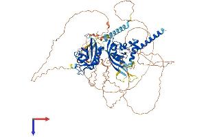 AlphaFold protein structure predicition of Mouse Recombinant Sim1 Protein, UniprotID Q61045