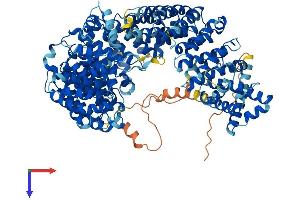AlphaFold protein structure predicition of Human Recombinant IPO8 Protein, UniprotID O15397
