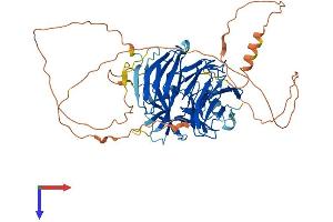 AlphaFold protein structure predicition of Mouse Recombinant Dcaf10 Protein, UniprotID A2AKB9