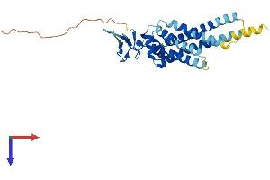 AlphaFold protein structure predicition of Mouse Recombinant Arv1 Protein, UniprotID Q9D0U9