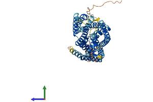 AlphaFold protein structure predicition of Mouse Recombinant Slc38a1 Protein, UniprotID Q8K2P7