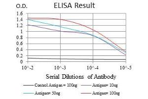 Black line: Control Antigen (100 ng), Purple line: Antigen(10 ng), Blue line: Antigen (50 ng), Red line: Antigen (100 ng),
