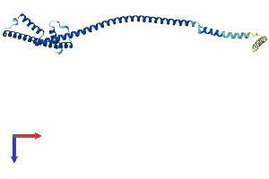 AlphaFold protein structure predicition of Human Recombinant HAUS1 Protein, UniprotID Q96CS2