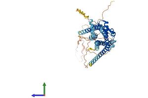 AlphaFold protein structure predicition of Mouse Recombinant Cckbr Protein, UniprotID P56481