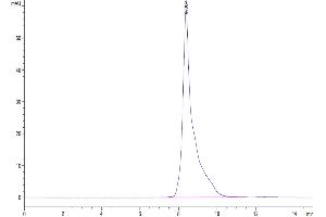 The purity of Cynomolgus HLA-G is greater than 95 % as determined by SEC-HPLC. (HLAG Protein (Monomer) (HLA-G))