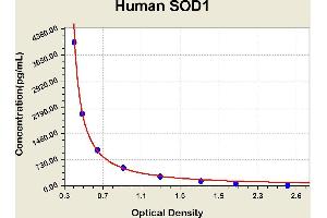 Diagramm of the ELISA kit to detect Human SOD1with the optical density on the x-axis and the concentration on the y-axis. (SOD1 Kit ELISA)