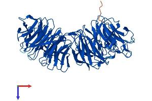 AlphaFold protein structure predicition of Human Recombinant EML2 Protein, UniprotID O95834