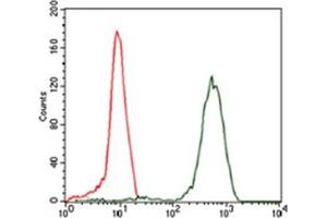 Flow Cytometry (FACS) image for anti-Eukaryotic Translation Initiation Factor 4B (EIF4B) antibody (ABIN1107074) (EIF4B anticorps)