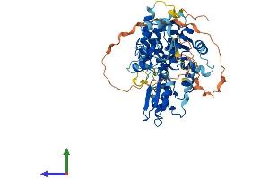 AlphaFold protein structure predicition of Mouse Recombinant Cblc Protein, UniprotID Q80XL1
