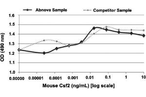 Serial dilutions of mouse Csf2, starting at 10 ng/mL, were added to FDCP-1 cells. (GM-CSF Protéine)