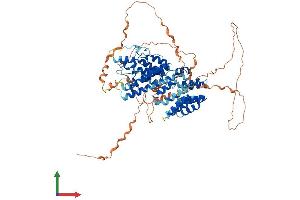 AlphaFold protein structure predicition of Human Recombinant TRAPPC12 Protein, UniprotID Q8WVT3