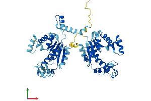 AlphaFold protein structure predicition of Mouse Recombinant Ak8 Protein, UniprotID Q32M07