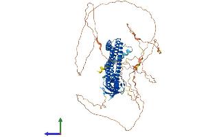 AlphaFold protein structure predicition of Human Recombinant AMPH Protein, UniprotID P49418
