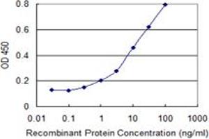 Detection limit for recombinant GST tagged ULK2 is 0. (ULK2 anticorps  (AA 743-843))