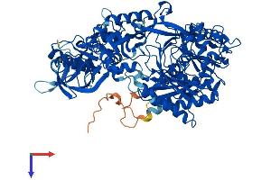 AlphaFold protein structure predicition of Mouse Recombinant Ago2 Protein, UniprotID Q8CJG0