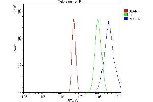 Flow Cytometry analysis of A431 cells using anti-SCC112/PDS5A antibody (ABIN7598982).