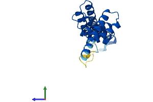 AlphaFold protein structure predicition of Human Recombinant TTC9C Protein, UniprotID Q8N5M4