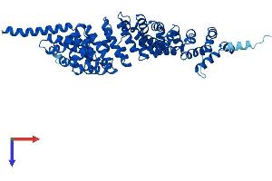 AlphaFold protein structure predicition of Mouse Recombinant Spag6 Protein, UniprotID Q9JLI7