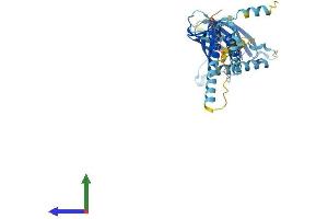 AlphaFold protein structure predicition of Human Recombinant ERGIC2 Protein, UniprotID Q96RQ1
