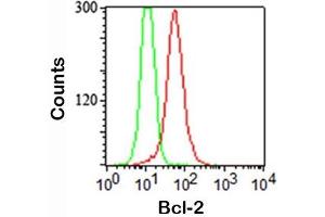 FACS staining (intracellular) of Jurkat cells using 100/D5 antibody (red) and isotype control (green). (Bcl-2 anticorps)