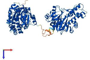 AlphaFold protein structure predicition of Human Recombinant GNE Protein, UniprotID Q9Y223