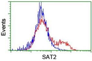 HEK293T cells transfected with either RC204044 overexpress plasmid (Red) or empty vector control plasmid (Blue) were immunostained by anti-SAT2 antibody (ABIN2455748), and then analyzed by flow cytometry. (SAT2 anticorps)