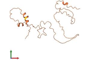 AlphaFold protein structure predicition of Human Recombinant KRTAP9-2 Protein, UniprotID Q9BYQ4