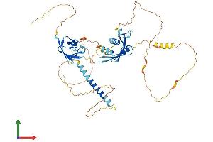 AlphaFold protein structure predicition of Mouse Recombinant Midn Protein, UniprotID Q3TPJ7
