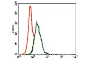 Image no. 4 for anti-Inner Centromere Protein Antigens 135/155kDa (INCENP) antibody (ABIN1491465)