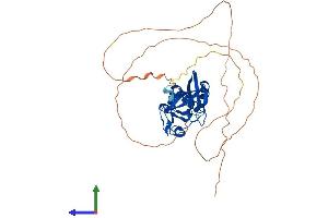 AlphaFold protein structure predicition of Human Recombinant KMT5A Protein, UniprotID Q9NQR1