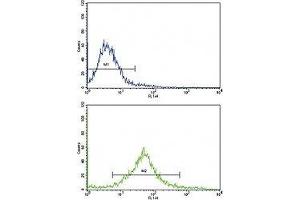 Flow cytometric analysis of HeLa cells using cKit antibody (green) compared to a negative control cell (blue).