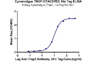 Immobilized Cynomolgus TROP-2 at 0.