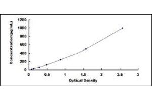 Typical standard curve (RSPO2 Kit ELISA)